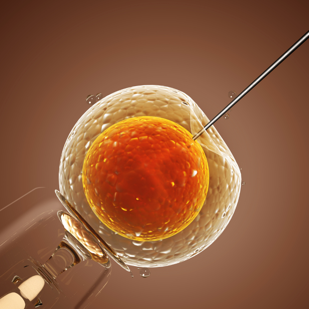Inseminação artificial
